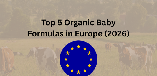 Top 5 Organic Baby Formulas for Sensitive Stomachs in Europe (2026 Buying Guide)
